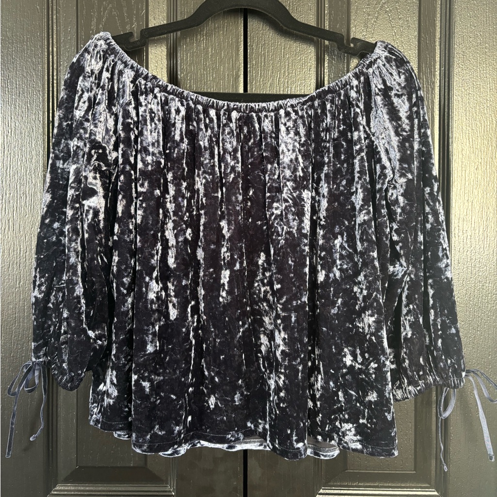American Eagle Outfitters Navy Crushed Velvet Off-Shoulder Blouse
